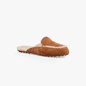 Ugg Lane Slip-On Loafer Women Flats Brown (4193AEPXC)